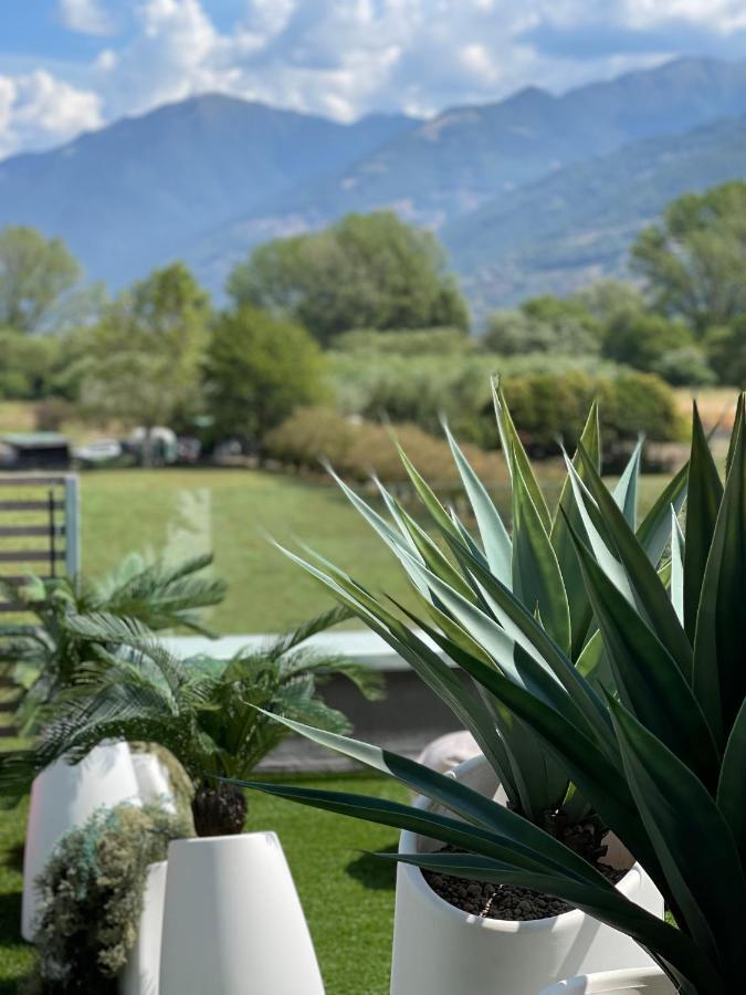 Art B&B Design Costa Volpino Extérieur photo
