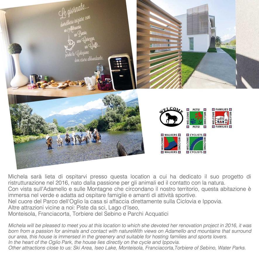 Art B&B Design Costa Volpino Extérieur photo